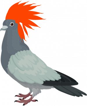 Landing-page-Pigeons-Futes-1-1 (1)